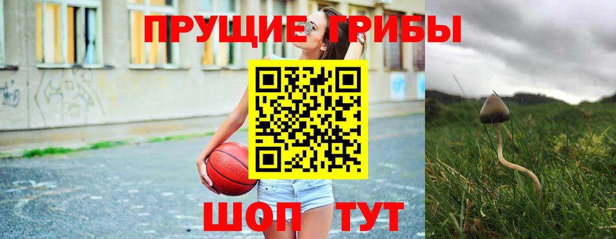 Псилоцибиновые грибы Psilocybine cubensis  Вход с VPN  Сертолово 