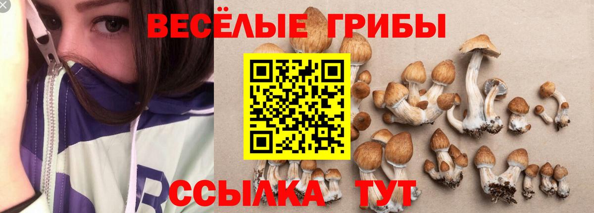 Псилоцибиновые грибы MAGIC MUSHROOMS Сертолово